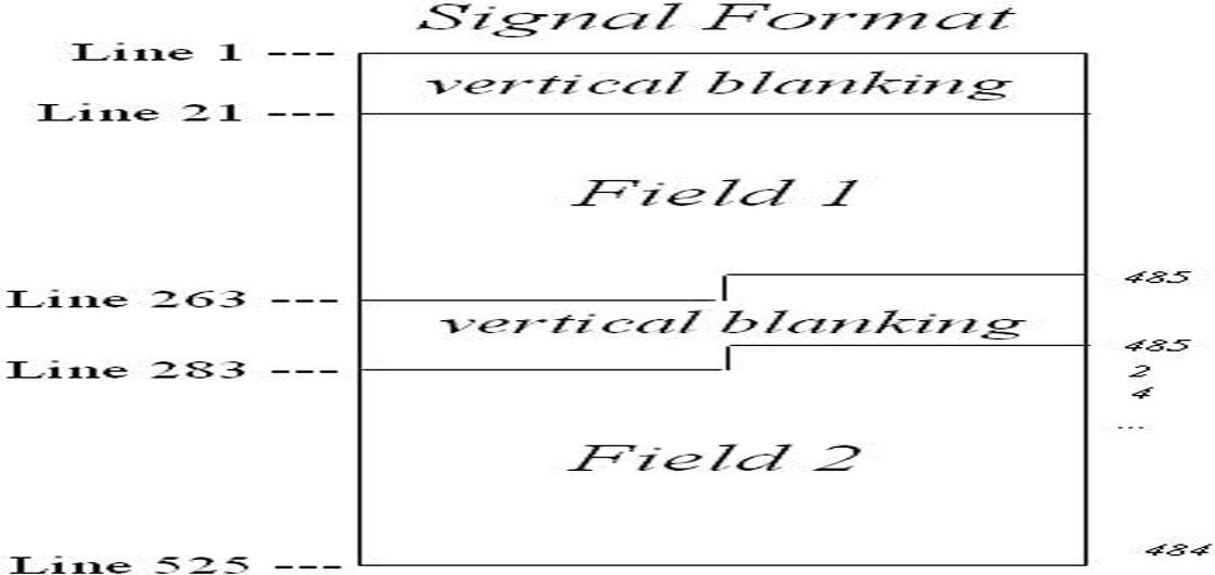 1552294594219720.jpg